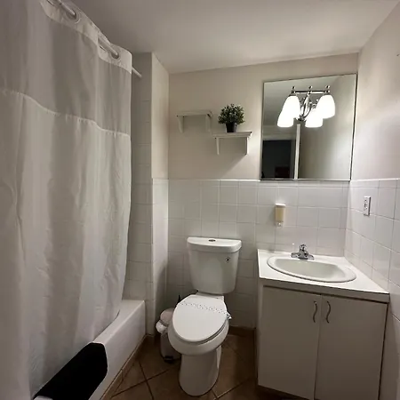 Casablanca On The Beach Miami Beach Room photo